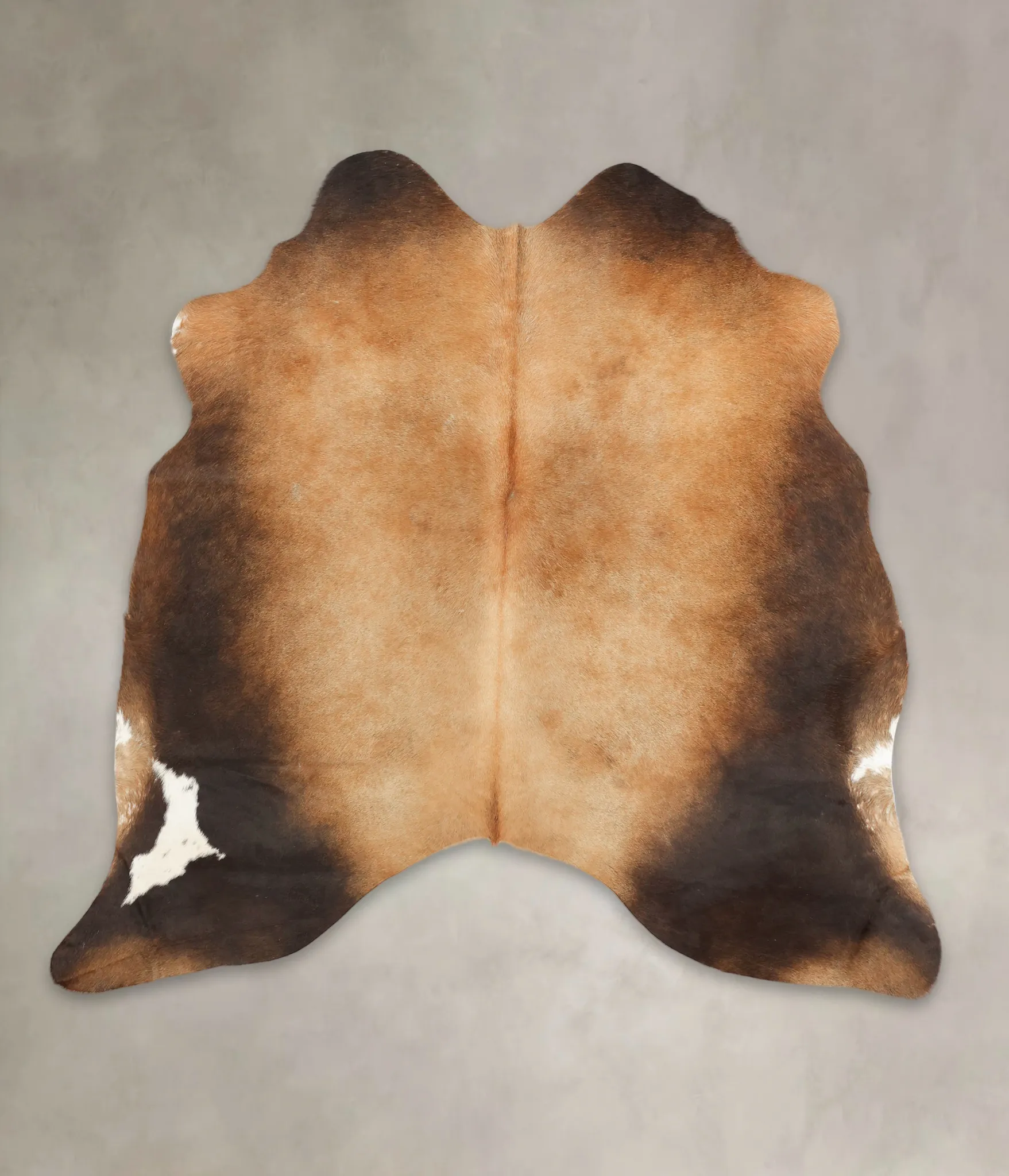 Warm Caramel Large Brazilian Cowhide Rug 5'9"H x 5'10"W #B1600 by Hudson Hides