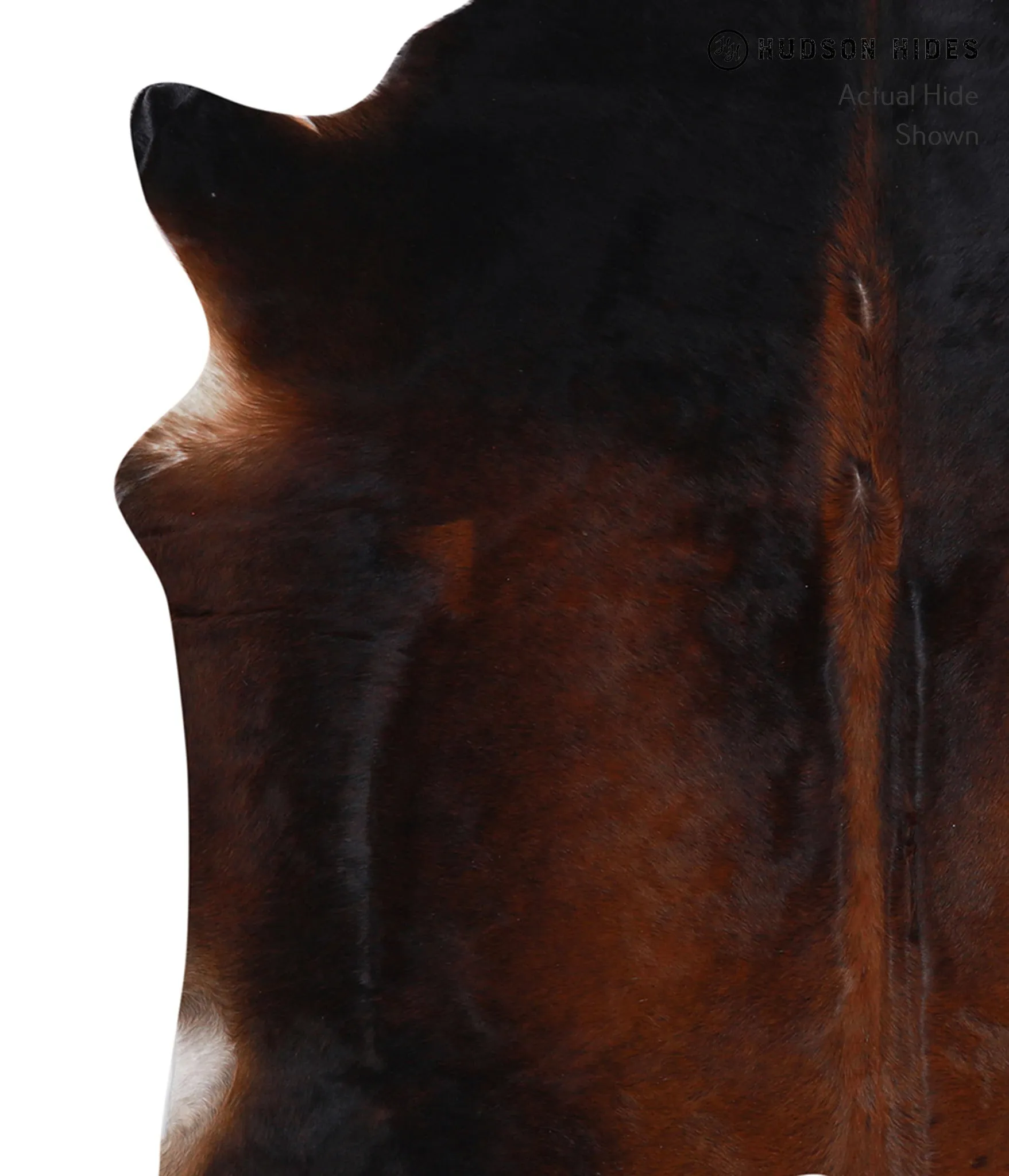 Warm Caramel Large Brazilian Cowhide Rug 6'3"H x 6'2"W #A4861 by Hudson Hides