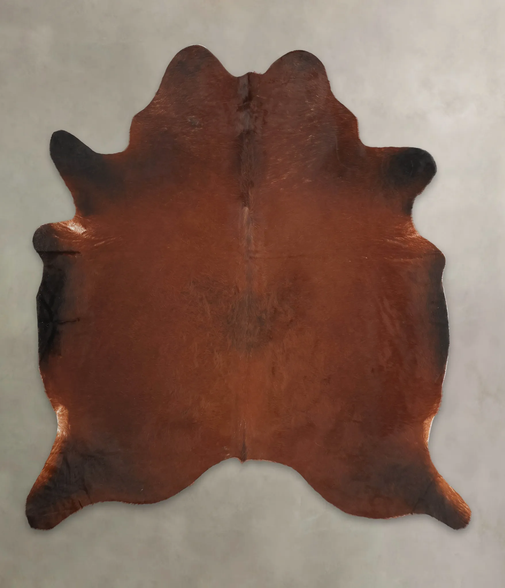 Warm Caramel XX-Large Brazilian Cowhide Rug 7'8"H x 6'10"W #B1181 by Hudson Hides